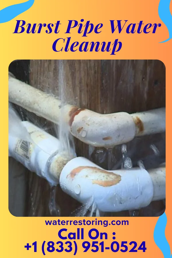 Burst Pipe Water Cleanup in Winthrop, MN