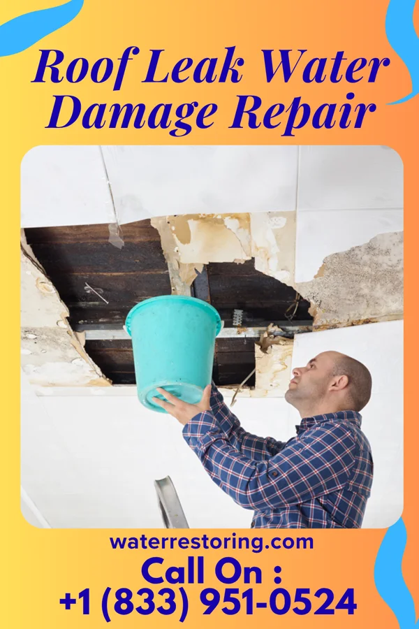 Roof Leak Water Damage Repair in Winthrop, MN