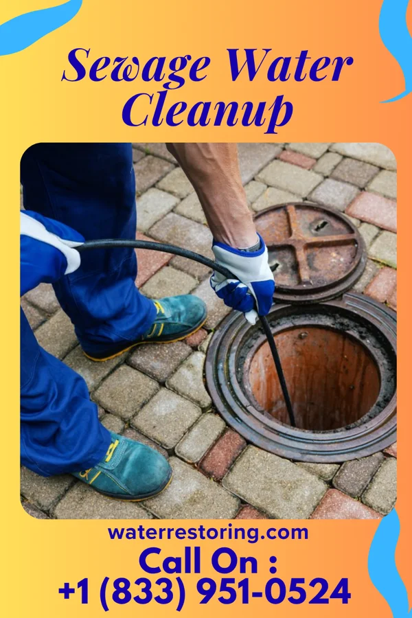 Sewage Water Cleanup in Winthrop, MN