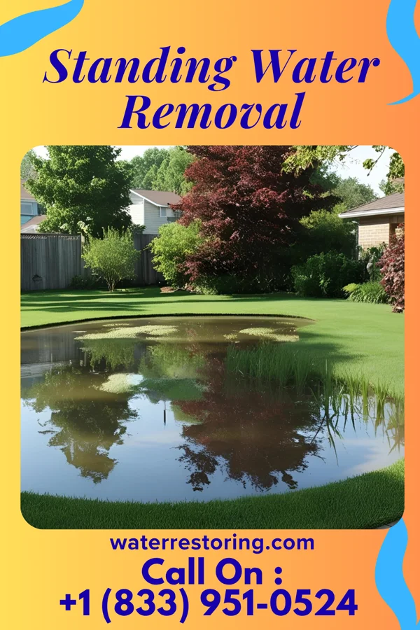 Standing Water Removal in Winthrop, MN